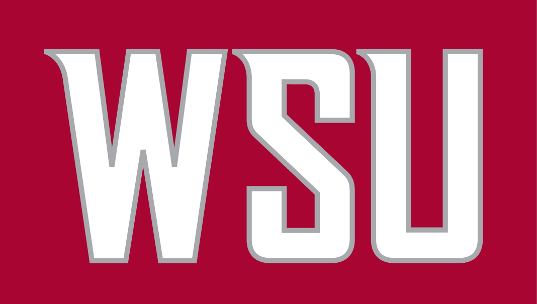 Washington State Cougars 2011-Pres Wordmark Logo v5 diy DTF decal sticker